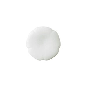 c Rgni u   { Z aH u  ͂u ͂ Jg[Xg