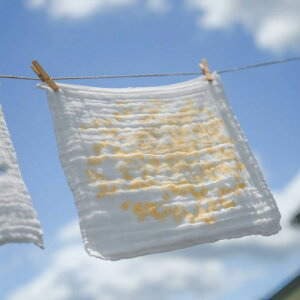 6d˂̃K[[ӂ u[P CG[ { mH