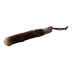 �e�[�u���g�[�N�V�F�t ���肱���R�� 170mm �������� �a�H��
