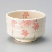 枝垂れ桜が優雅な抹茶碗