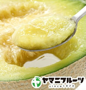 sale! }XN 1ʁiÉ֓cYjyʂ̒ڋʏiItwEԕisz[_炩ȕ͂I] 󂠂(Hׂ) 1166000~iŕʁjŔ