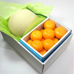 N[֔ }XN1ʁExۏ؂݂ lߍ킹 CMtg  ̂  { ʕ  t[c t[c Mtg  av[g oY 