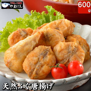HiLO1! MtgɍœK VR^ӂg600gO ӂZbg ӂh  Mtg j yMt  ӂ tO ӂ ͓  CN  y hV̓