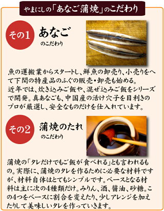 今日はあなご