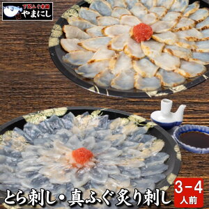 Ε Mtg ƂӂhgE^ӂthHה׃Zbg3-4lO ӂh tO ӂZbg  Mtg yMt  ӂ tO ӂ ͓ Mtg O 