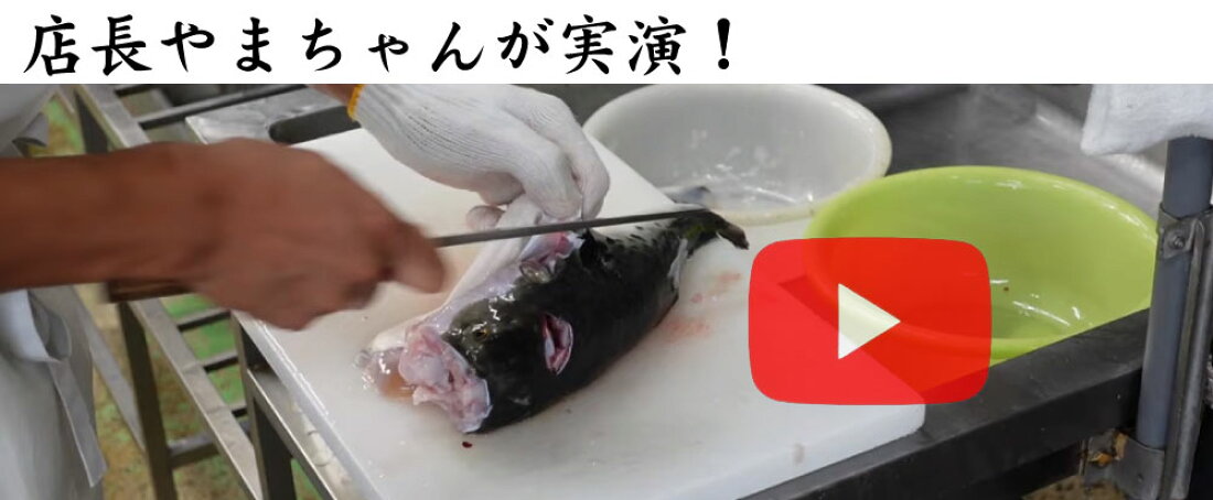 楽天市場 山口県下関より 本場の河豚や魚介類をあなたの食卓へお届けします 下関 ふぐ老舗問屋 山西水産 トップページ 楽天市場 山口県下関より 本場の河豚や魚介類をあなたの食卓へお届けします 下関 ふぐ老舗問屋 山西水産 トップページ