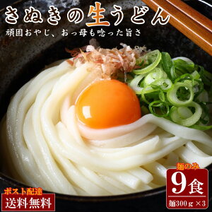 送料無料 ポッキリ 頑固父さんが唸る讃岐生うどん9食セット・麺300g×3袋 選べる6食セット・麺300g×2袋、醤油6袋  香川県 産地直送 お試し ポイント消化 在庫処分 フード おすすめ グルメ食品