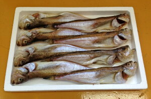 [Ⓚor①][͂͂500gO]Ǝ̍L n^n^ ̓V􍁏ZŸ銱 n^n^ 500gO