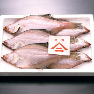 [Ⓚor①][ꂢ750g] Ԃ JC 炱iIZY JC V750gi5`9Cj 銱 D݂̃TCYIׂ܂ ꂢ