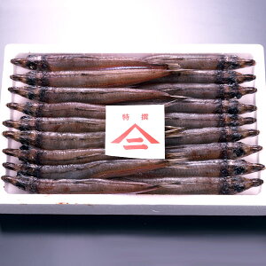 �����L���O��܁I [�Ⓚor�①][����16�`18�C600g]�V���Ŋ����� �L�X ������E�}�C�I���Z�Y �L�X �i���L�X�j�̊���16�`18�C�O��i600g)