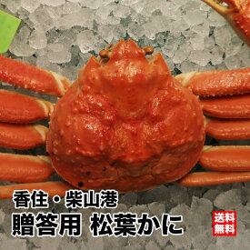 楽天市場 松葉ガニの通販 楽天市場 松葉ガニの通販
