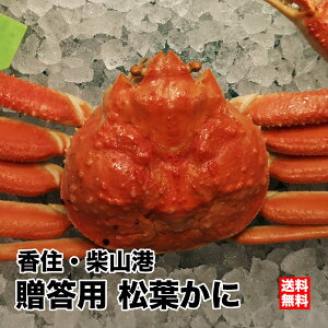 y{Cp500g-1kg/12͂zZ䥂ŏtɁiYCKjj1C[①][䥂ŏt1CJj|1{] |  Mtg Ε  e Ƒ I  Jj 킢 p