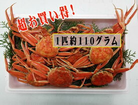 [冷凍]香住のセイコガニ　小サイズ10匹分（約1.1kg）[冷凍せこかに10匹　約1.1kg]