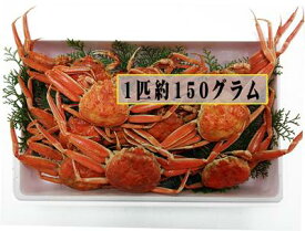 [冷凍せこかに5匹750g程度][冷凍]香住のセイコガニ　中サイズ5匹分（750g程度）