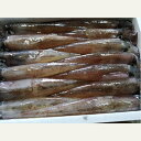 [やりいか小約1kg（10～16匹）]上品な味わいと、ほどよい食感の やりいか です！香住産 やりいか （ヤリイカ）小サイズ1kg（10～16匹）[冷凍]