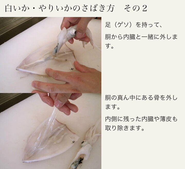 楽天市場 やりいか中約1kg 11 13匹 上品な味わいと ほどよい食感の やりいか です 香住産 やりいか ヤリイカ 中サイズ1kg 11 13匹 冷凍 山陰 香住港発 海山物ヤマニ