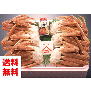 y2LTCYɂ̂tzɂpYCKjBk͂̂܂܂Ղ[Ⓚ][킢I][2LTCY1{]