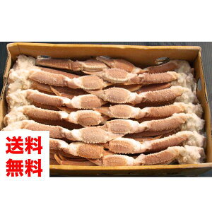 y5LTCYɂ̂tzɂpYCKjBk͂̂܂܂Ղ[Ⓚ][킢I][5LTCY1{]