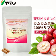 天然ビタミンC サプリ カムカム パウダー サプリメント カムカム junsui 純粋 約1ヶ月分 ビタミンc サプ…