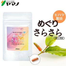 ヤマノ めぐりさらさら ヒハツ クルクミン マグネシウム 乳酸菌 血流 冷え 温活 腸活 サプリ 約1ヶ月分 送料無料