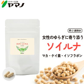 ヤマノ ソイルナ お試しサイズ 約15日分 マカ ケイ素 イソフラボン配合 更年期 サプリ 送料無料