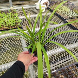 LEw ŕӁ@4@c@ԉ肠܂BNtJԌ݃TCYłB