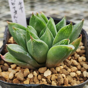 A nI`A@VrtH~X@7.5`9cm|bgc