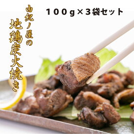 【本格炭火焼きの味わい】 地鶏炭火焼き[モモ100g×3袋] 鳥の炭火焼き 鶏の炭火焼き 炭火焼き鳥 炭火焼鳥 炭火焼 炭火焼き 絶品 お取り寄せグルメ 宮崎 ご当地グルメ 冷凍惣菜 冷凍総菜 おつまみ 肉 おかず 美味しいもの おいしいもの 送料無料【香ばしい美味しさ】