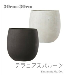 ^CZ[IyejAXo[z10@30cm@@Aؔ@o[@fUCi[@ubN@ zCg@ϗtA@킢@ۂ@10@lC