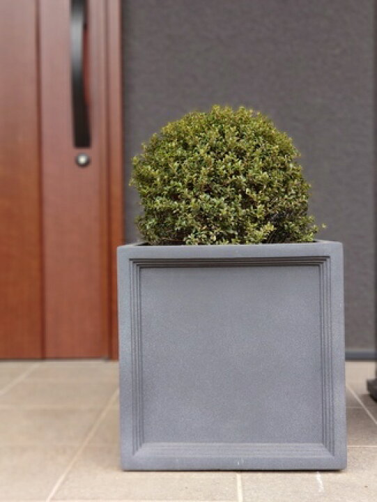 楽天市場】四角 おしゃれ 植木鉢【LLブリティッシュ Pキューブ