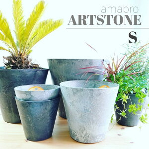 ARTSTONE@v^[@A[gXg[ySTCY@22cmz 킢 Aؔ A}u CeA@O[ ChAO[ C_XgA ubN i`@k gift M