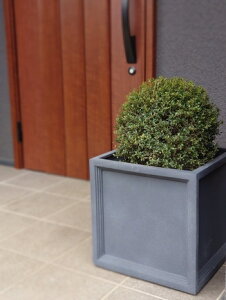 四角 おしゃれ 植木鉢【LLブリティッシュ Pキューブ 47cm】プランター かわいい  シンボルツリー インダストリアル 鉢カバー ブルックリン インドアグリーン 玄関 人気