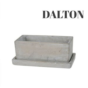 yDULTON@_gz\bh v^[ N^O S PLAIN@@v^[@lp@~j@Jo[@v[g@Mtg@G݁@K[fjO@CeA@@P[X@