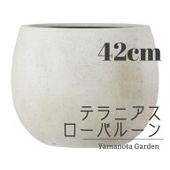 タイムセール！おしゃれ　鉢カバー　FRP　軽量【テラニアス　ローバルーン】42cm　植木鉢　バルーン　デ…