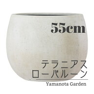 タイムセール！FRP　軽量鉢【テラニアス　ローバルーン】おしゃれ　鉢カバー　大型　55cm　植木鉢　バル…