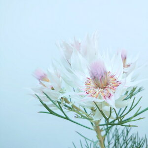 W[CZA@ubVOuCh@lCeBuvc@5@c@50Z`@K[fjO@@킢@lC@CeAO[@ChAO[@@A