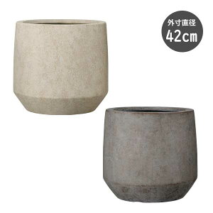 yxxbg Eh 42cm zt@Co[Zg@Aؔ@v^[@(AN-BR4238)