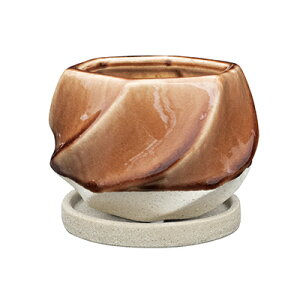 ݌ɏZ[I@AؔyC\uEz14cm@@@킢@CeA@O[@@~j@