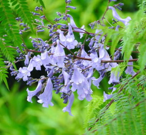 WJ_@5@80cm@V{c[  A t t