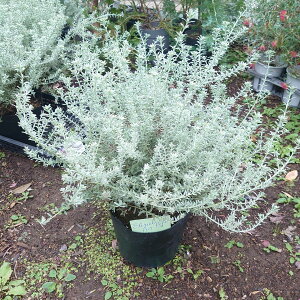 I[W[vc@EGXgMA@X[L[@zCg@7@OhJo[@c@c@Vo[[t@I[XgA[Y}[@h@Β؁@40Z`@I[W[