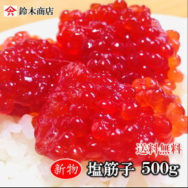 2025年新物 送料無料 塩筋子【500g紅鮭卵】 筋子 紅鮭 紅子 鮭子 塩すじこ ギフト 贈答用 ご飯 おかず しおすじこ つまみ 贈り物 お中元 お歳暮 魚卵 しょっぱい筋子 おにぎり 厳選一本羽使用 昔ながらの塩筋子