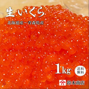  H̖o H CN 1kg(500g×2pbN) D݂̒Ђ_ŏݖCN̏oオ ̏H̖o\ĉ  ؎q ͂炱  ؎q H Gߌ kC 
