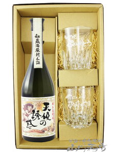 Vg̗Uf 720ml + bZ[W胍bNOX2Zbgy 7855 zy ĒEOX̃Zbg zy  zy NX}X Ε 蕨 Mtg v[g z