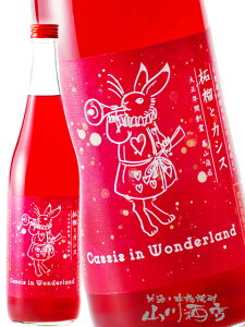 svc̍̃JVX ԑ ў (  ) ƃJVX 720ml / ꌧ RX y7099zy ~ zy nEB 蕨 Mtg v[g z