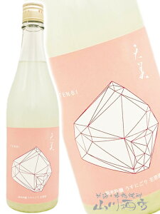 y \񏤕i 220ח\ zV TENBI ċ ɂ  V 720ml/ R B𑢁y 8195 zy { zy v① zy NX}X Ε 蕨 Mtg v[g z