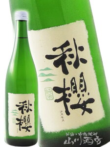 xv  Ђ₨낵 HN (  ) 720ml/L c𑢁y 5480 zy { zy nEB 蕨 Mtg v[g z