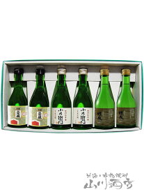 岐阜銘酒飲み比べセット 300ml×6本セット【 B 】【 4126 】【 日本酒 】【 送料無料 】【 母の日 贈り物 ギフト プレゼント 】