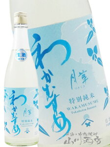 킩ނ ʏ  (  ) hߐ 720ml / R VJ𑢁y 7920 zy { zy v① zy nEB 蕨 Mtg v[g z