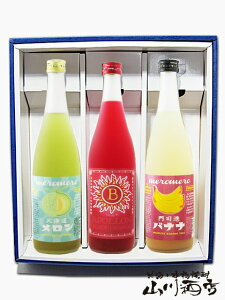 ubhIW~ ( VA| ) + ߂߂냁~ + oii~y 2649 zy ʎ720ml3{Zbg zy  zy NX}X Ε 蕨 Mtg v[g z