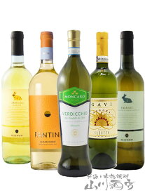 厳選イタリア白ワインセット ( 750ml×5本 ) 【 4853 】【 イタリア白ワイン 】【 送料無料 】【 お花見 贈り物 ギフト プレゼント 】